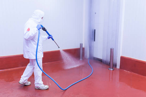 Best Boat and Dock Cleaning  in Sunnyvale, CA